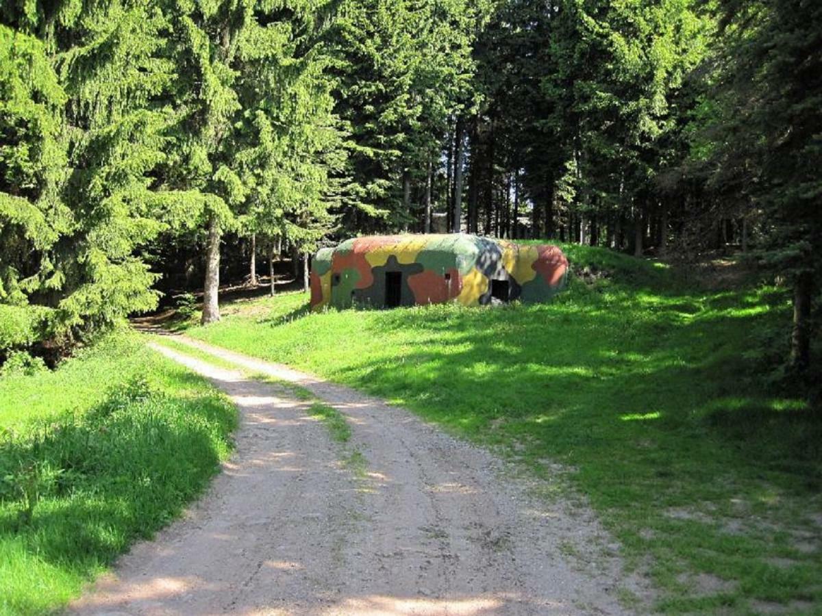 Apartman Draci Udoli Trutnov Zewnętrze zdjęcie